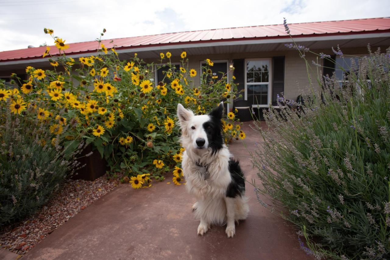 The Flagstone Boutique Inn & Suites Kanab Exteriör bild